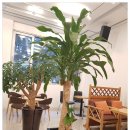 일지 브레인 아트 갤러리 카페 이미지