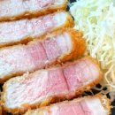 설카츠