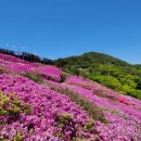 백양산 애진봉 이미지