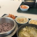 장수물공원 | 제철음식 쭈꾸미 샤브샤브🐙. 남편놈 생일🎂. 도쿄여행 시작🇯🇵🎎.