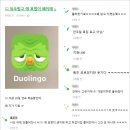 요즘 영어공부 특