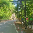 내포 문화숲길 내포 불교순례길 6코스 이미지