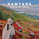 지안재 | 경남 가을 여행지 단풍 드라이브 코스 함양 지안재 오도재 전망대