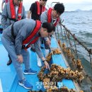 강구수협 이미지