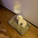 맘쓰정