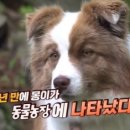 덕만농장 이미지