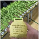 한국체대 석사 태권도장 이미지