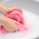 유행세탁 이미지