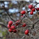 함라산둘레길 이미지