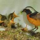 아토 태권도장 이미지