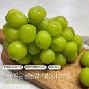 감골농장 네이버블로그