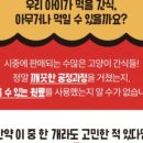 야미츄 이미지