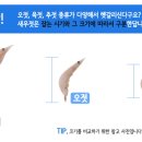 성안호 이미지