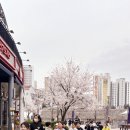 전진 효 태권도 이미지