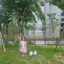 검단2지구2호어린이공원 이미지