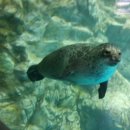 보리하우스 이미지