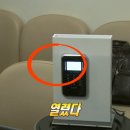 최인평의안 이미지