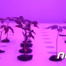 (주)대일개발 이미지