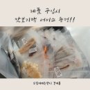 오징어파는언니 이미지
