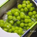 품절남마트