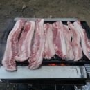 싱글벙글캠핑장 Daum카페