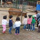 훼미리랜드 이미지