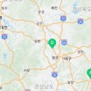 전주공예분재
