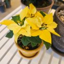 만나농장 이미지