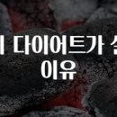 이유있는다이어트 티스토리