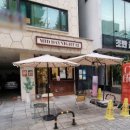 미드데이나잇 12 네이버블로그