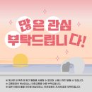 정서진 해넘이 행사 이미지