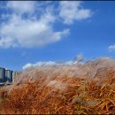 신천치안센터 이미지