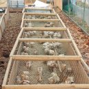 유나네농원 이미지