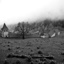 침묵속에피어나는우리 이미지