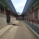 봄 호텔 | 코트야드 메리어트 서울 명동 호텔 호캉스 내돈내산 후기 + 다음 날 경복궁 봄 나들이까지