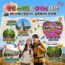 풍경소리길 | 합천 해인사 여행, 가야산 소리길 따라 황매산 철쭉축제, 영암사지까지