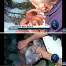 헤커PC방 이미지