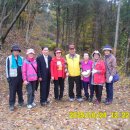 샤인빌리지 - 전주시 완산구 홍산북로 45-14 | 샤인빌리지