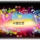 시절 인연 이미지