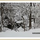 대성다방 - 남원시 인월1길 63 | 대성다방