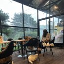 고대1121 이미지