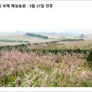 매화공인중개사사무소 이미지