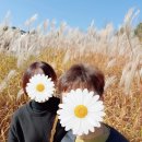 하연농장 이미지