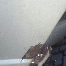 도장중학교 이미지