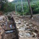 일대농장(1) 이미지