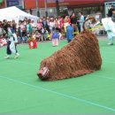 북청사자놀음 이미지