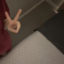 팅커벨강아지미용실 | 먹고 돈 쓰고 영통하는 나는야 파산핑