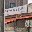 하얀기쁨세탁소 이미지