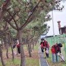 무녀도초등학교 이미지