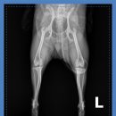 마인동물의료센터 이미지